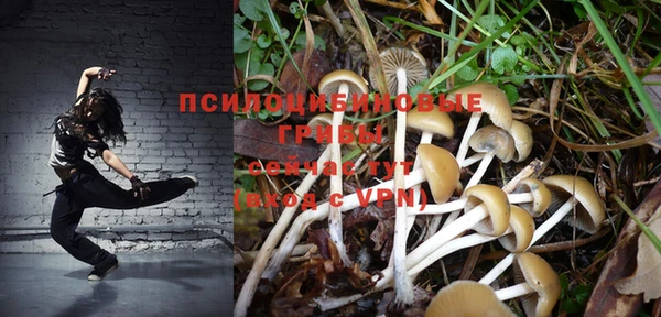 марки nbome Дмитриев