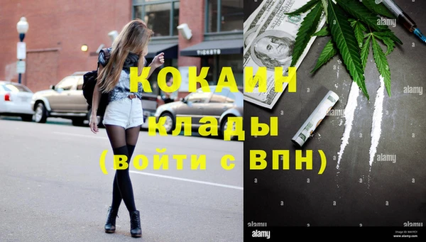 прущие грибы Осинники
