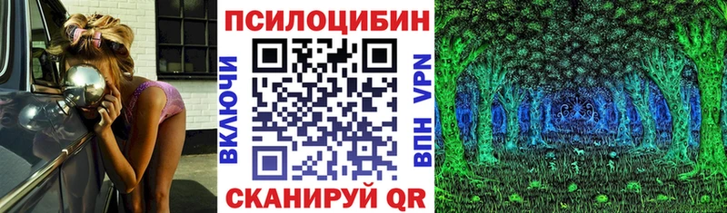 сколько стоит  Облучье  Псилоцибиновые грибы Cubensis 